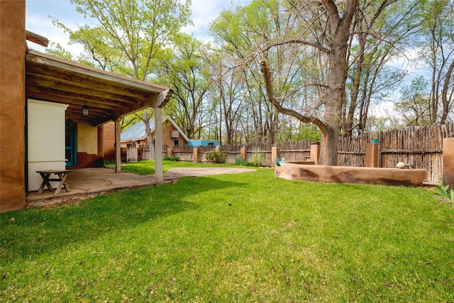 view of yard with a patio area and a fenced backyard