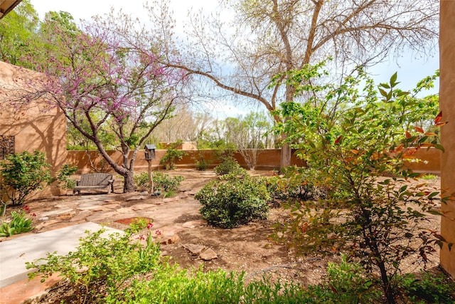 view of yard featuring a fenced backyard and a patio