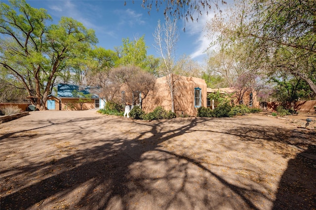 view of yard featuring driveway