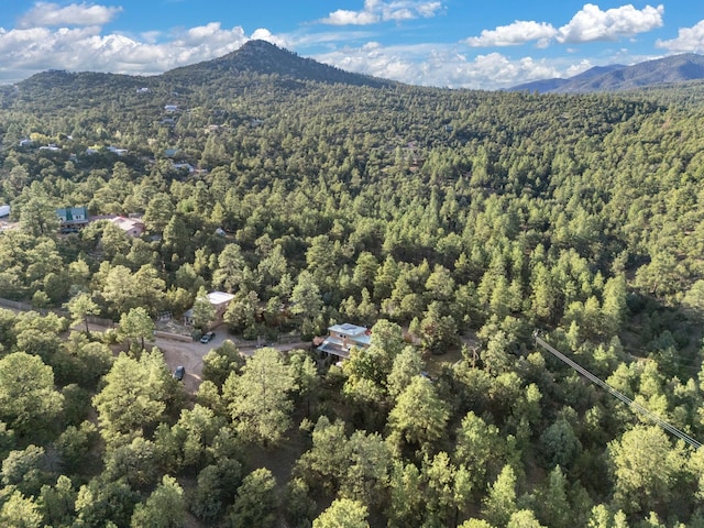 7689 Old Santa Fe Trl Unit C, Santa Fe, NM 87505 - drone / aerial view with a mountain view and a view of trees