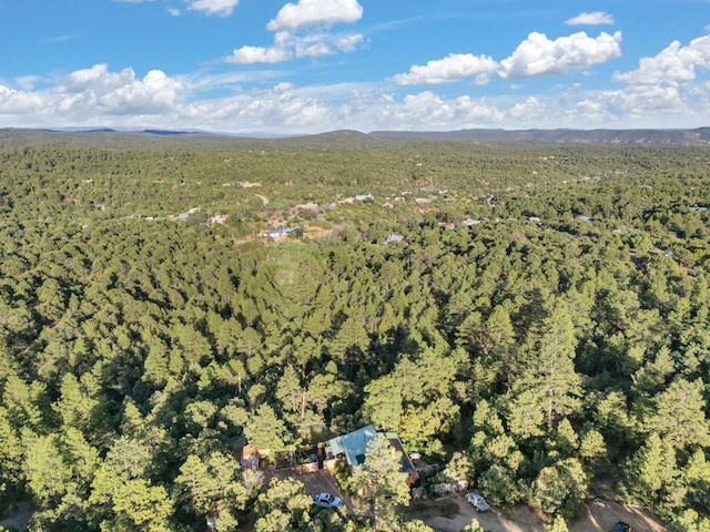 7689 Old Santa Fe Trl Unit C, Santa Fe, NM 87505 - bird's eye view with a forest view