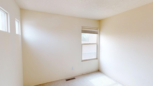 spare room with light colored carpet, visible vents, and plenty of natural light