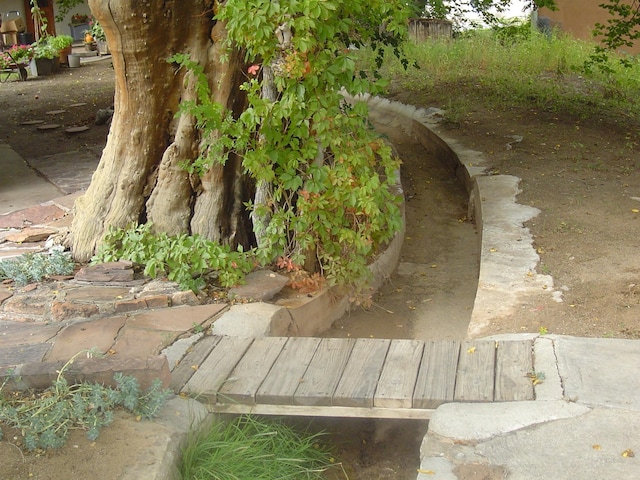 view of details