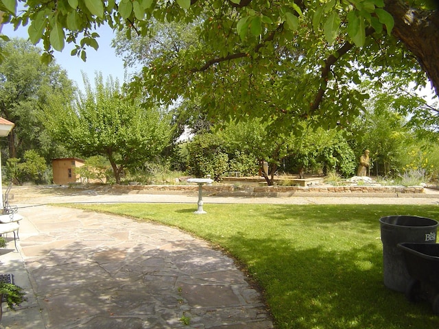 surrounding community with a lawn and a patio area