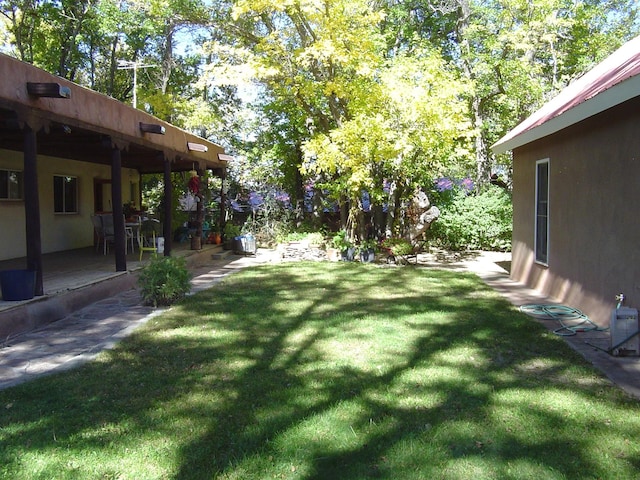 view of yard featuring a patio area