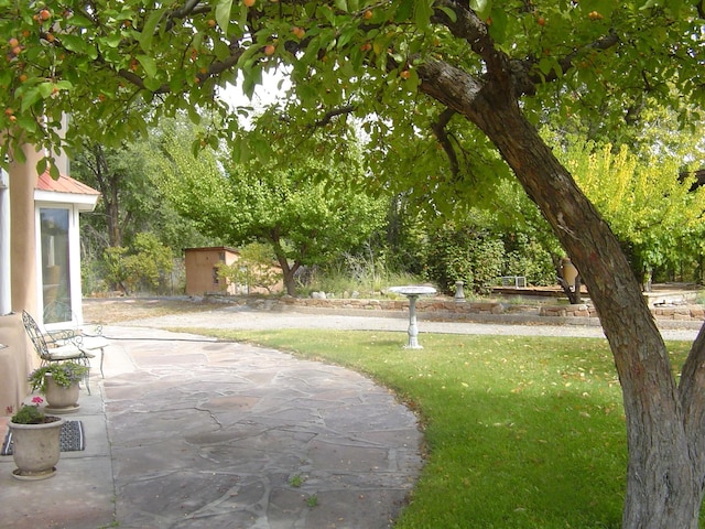 surrounding community with an outdoor structure, a patio area, a lawn, and a shed