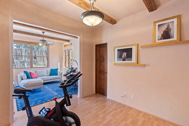 workout room featuring a ceiling fan and wood finished floors