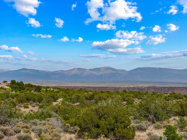 mountain view with a forest view