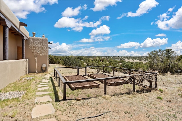 view of yard featuring a garden