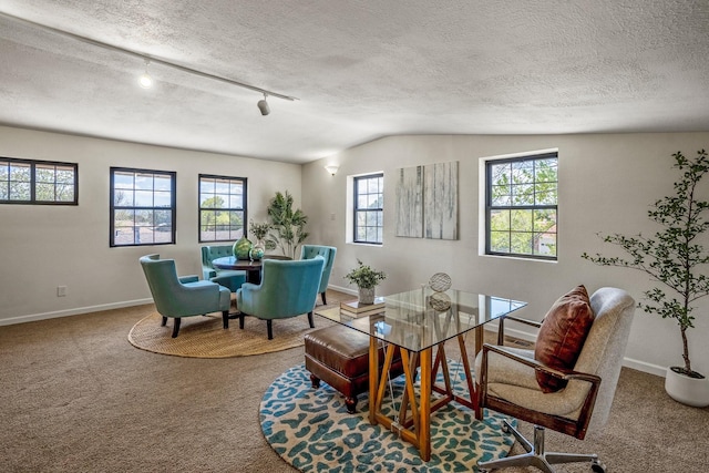 living area featuring carpet floors, a textured ceiling, and baseboards