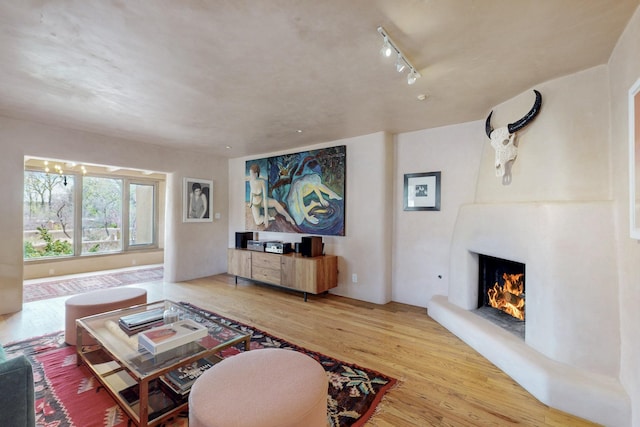 living room featuring a warm lit fireplace and wood finished floors