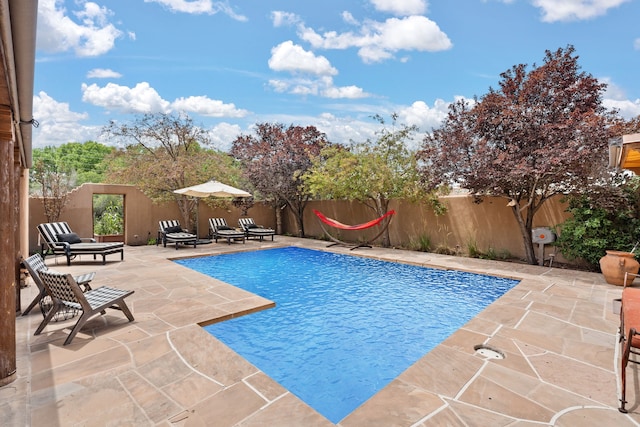 view of pool with a fenced backyard, a patio area, and a fenced in pool