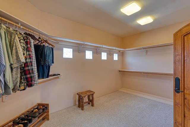 21 Canada Vista Dr, Sandia Park, NM 87047 - walk in closet with carpet flooring