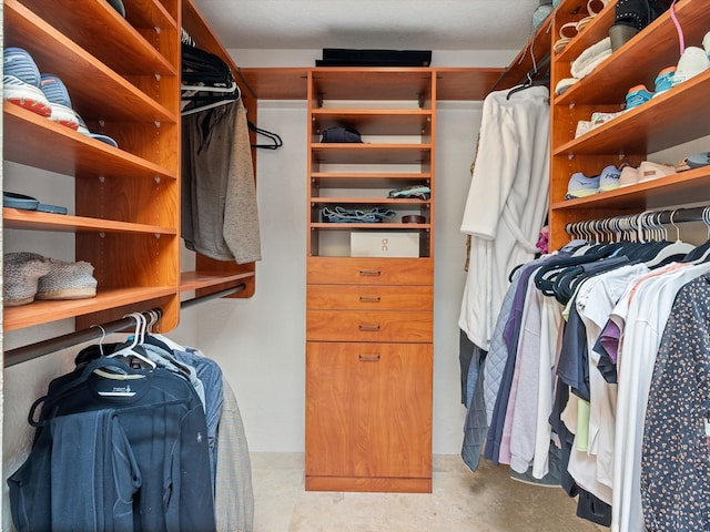 view of spacious closet