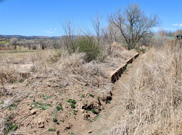 1607 8th St, Las Vegas, NM 87701 - view of local wilderness with a rural view
