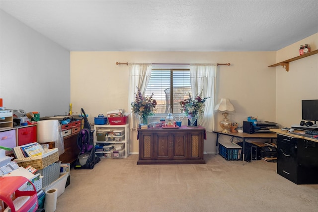 2416 Avenida De Las Campanas, Santa Fe, NM 87507 - home office with light carpet and a textured ceiling