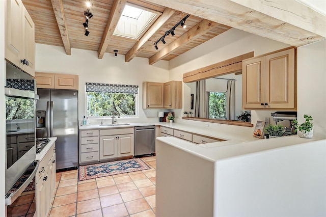 kitchen with track lighting, stainless steel appliances, a skylight, and a sink