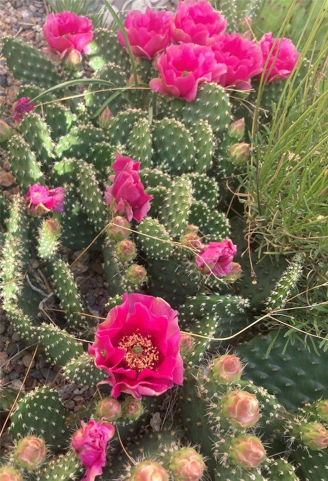 view of details