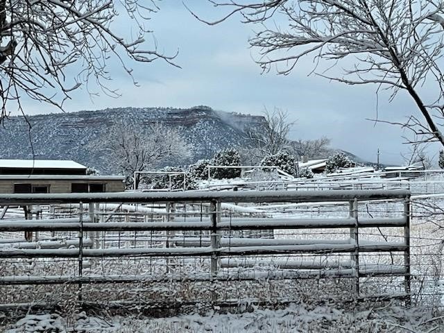 54 County Road B40A, Ribera, NM 87560 - yard layered in snow featuring a mountain view
