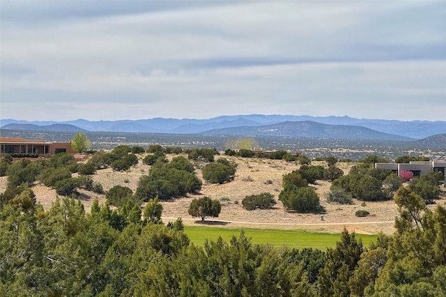 view of mountain feature