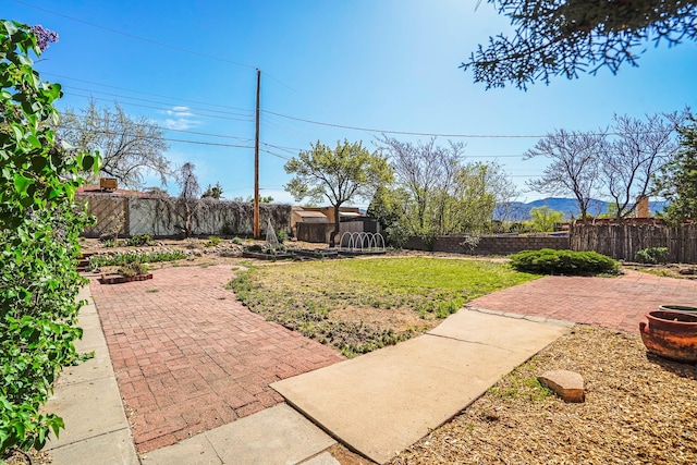 view of yard with a fenced backyard and a patio area