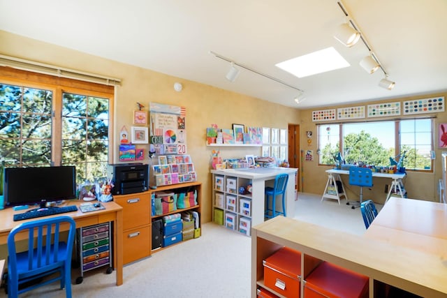 office featuring rail lighting and carpet flooring