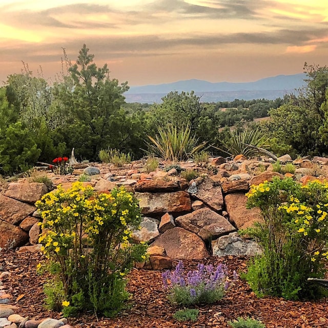 view of yard with a mountain view