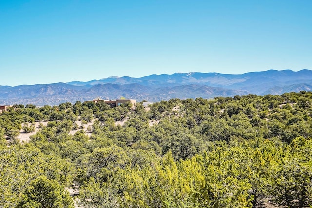 property view of mountains with a forest view