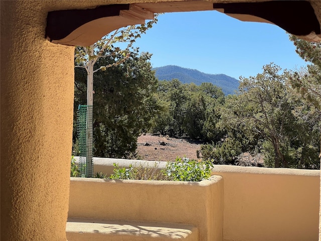 view of mountain feature