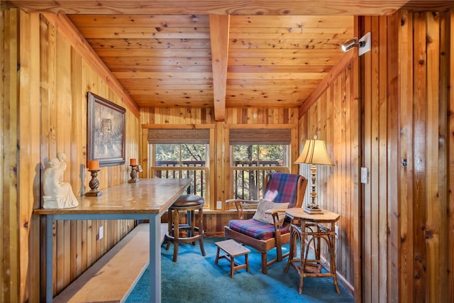 interior space featuring wood walls and wood ceiling