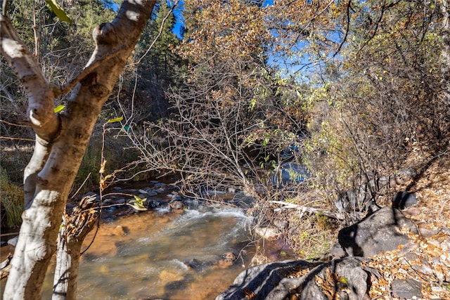 view of nature