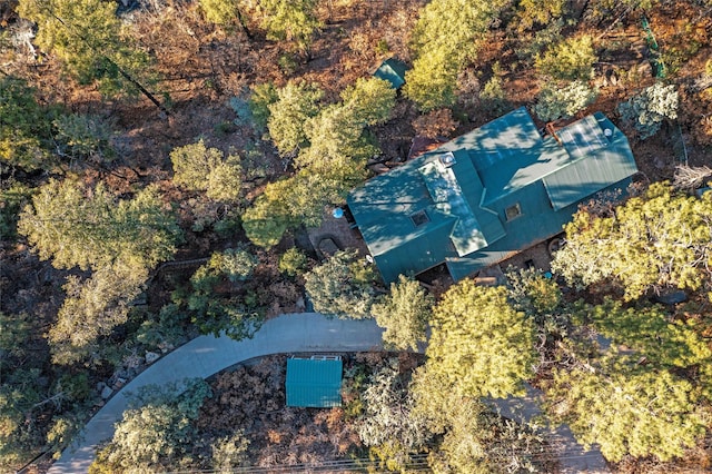 bird's eye view