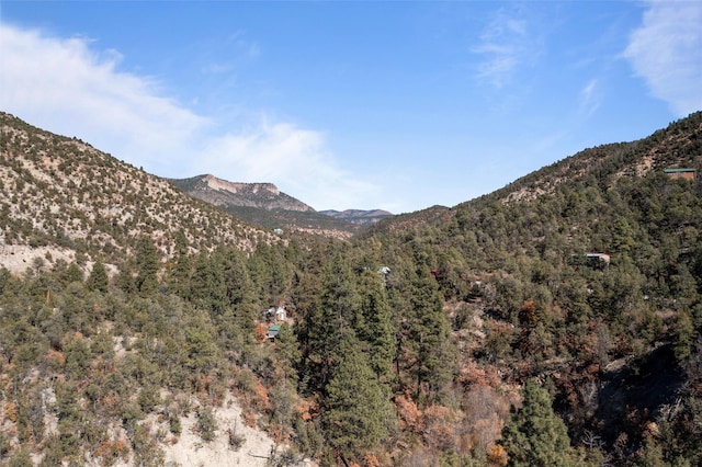 mountain view featuring a forest view