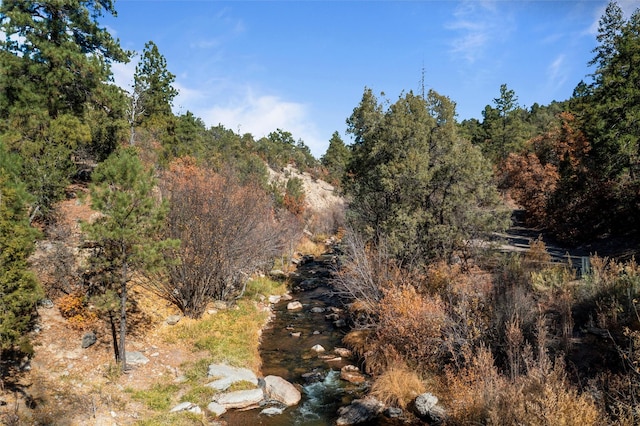 view of local wilderness featuring a view of trees