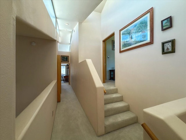 4621 Esperanza, Los Alamos, NM 87544 - staircase with carpet flooring