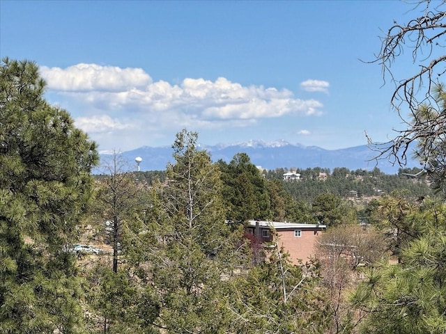 4621 Esperanza, Los Alamos, NM 87544 - property view of mountains with a view of trees