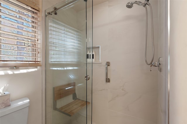 3101 Old Pecos Trl Unit 627, Santa Fe, NM 87505 - full bathroom featuring a stall shower, a wealth of natural light, and toilet