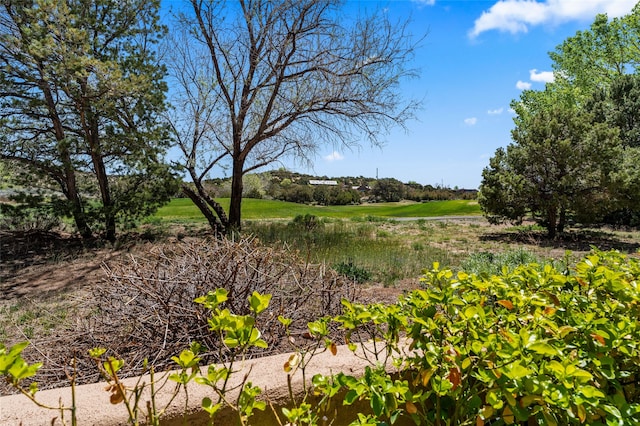 3101 Old Pecos Trl Unit 627, Santa Fe, NM 87505 - view of yard