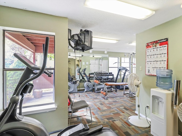505 Oppenheimer Dr Unit 1304, Los Alamos, NM 87544 - workout area featuring carpet flooring