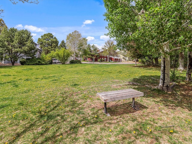 505 Oppenheimer Dr Unit 1304, Los Alamos, NM 87544 - view of yard