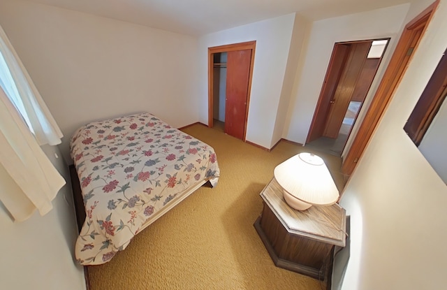 bedroom featuring light carpet and a closet