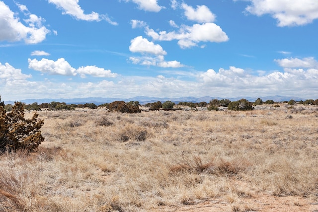 view of landscape featuring a mountain view