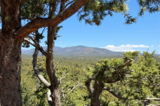 property view of mountains