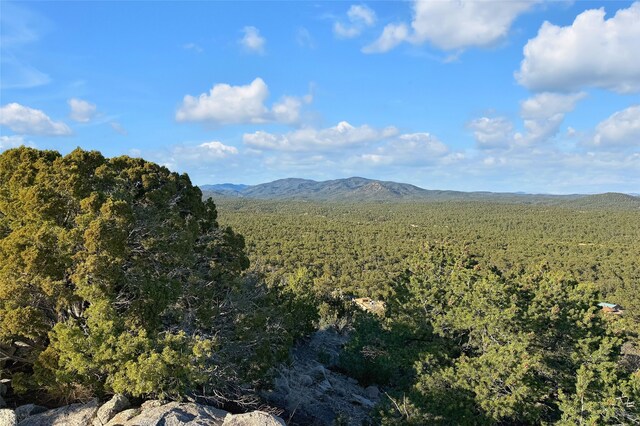 view of mountain feature with a wooded view