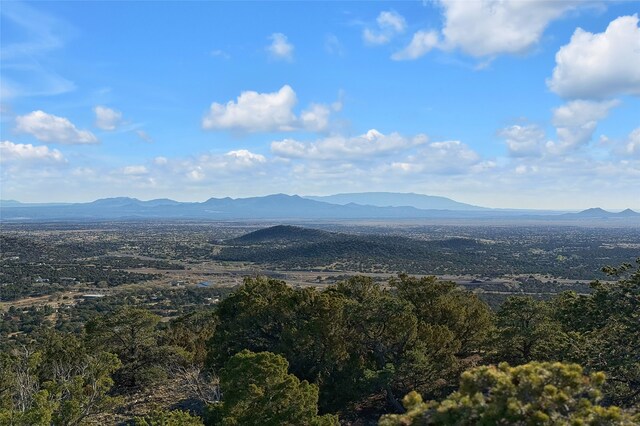 view of mountain feature