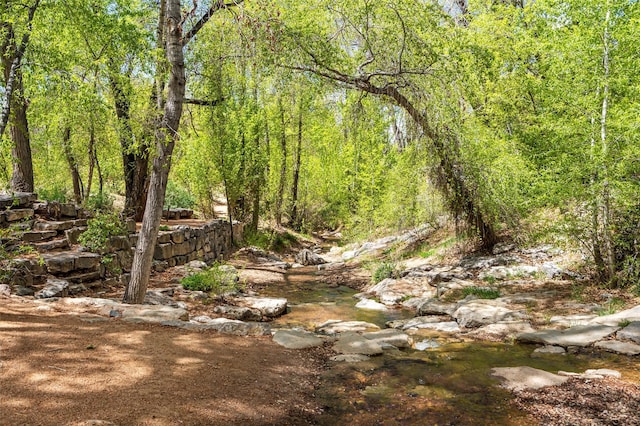 view of nature featuring a forest view