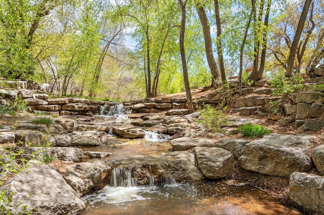 view of local wilderness