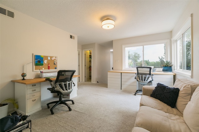 office with light carpet and visible vents