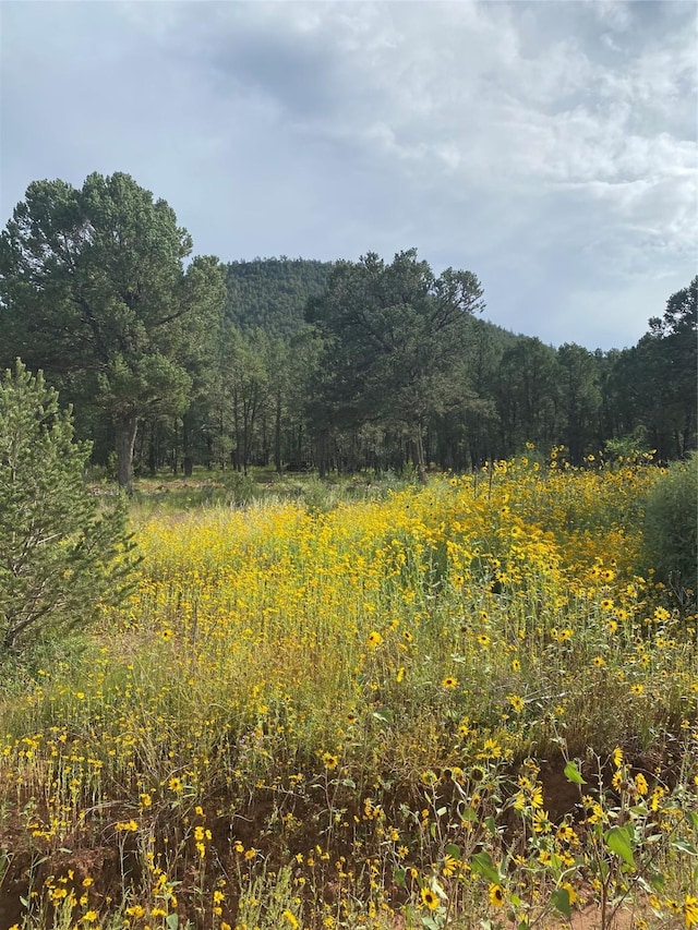 68 The Clfs, Glorieta, NM 87535
