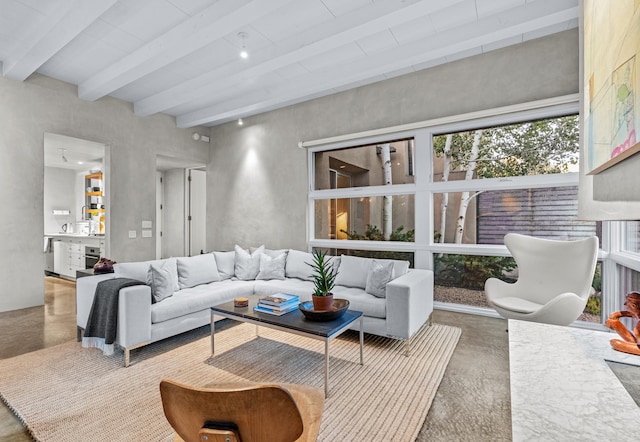 161 S Armijo Ln, Santa Fe, NM 87501 - living area with beam ceiling